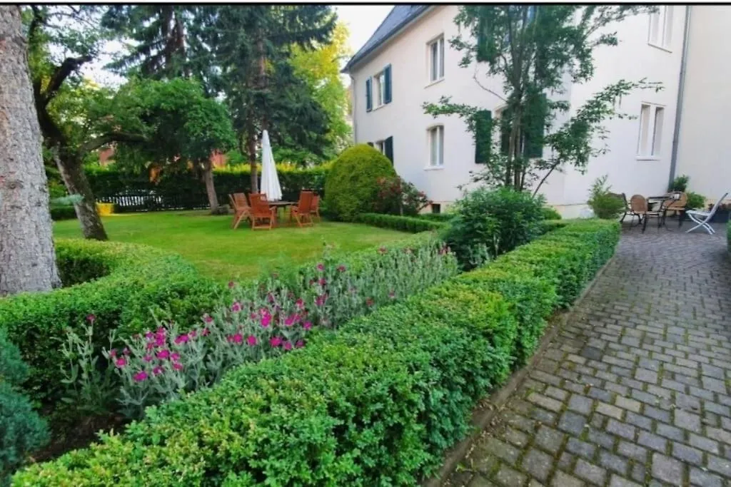 Gemuetliche 2 Raum Wohnung Dresden